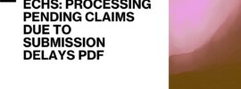 ECHS: Processing Pending Claims Due to Submission Delays PDF