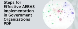 Steps for Effective AEBAS Implementation in Government Organizations PDF