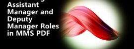 Combining Assistant Manager and Deputy Manager Roles in MMS PDF